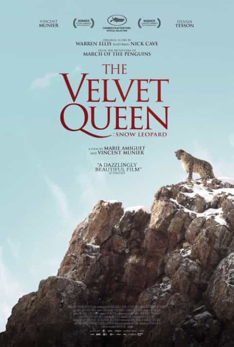 The Velvet Queen: Snow Leopard